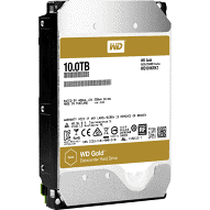 HDD 10Tb WD Gold