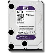 HDD 4TB WESTERN PURPLE