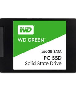 SSD 120Gb WESTERN GREEN c/hãng 