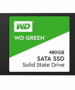 SSD 480Gb WESTERN GREEN chính hãng 