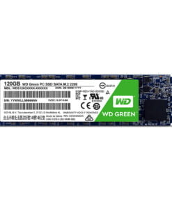 SSD M.2 120Gb WESTERN GREEN  c/hãng