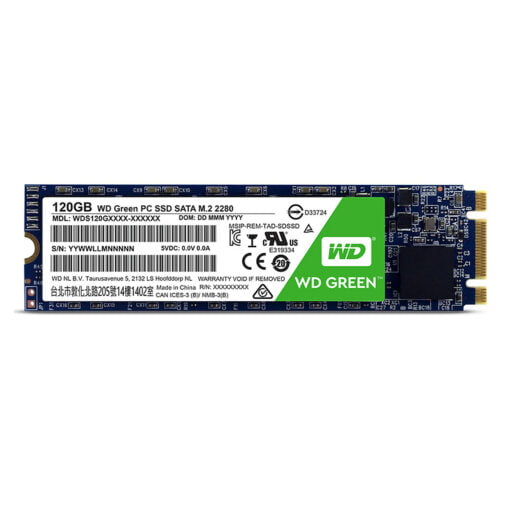 SSD M.2 120Gb WESTERN GREEN  c/hãng